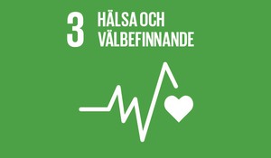 Agenda 2030, mål nummer tre: Hälsa och välbefinnande