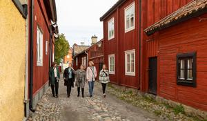 Fyra personer går en promenad i det röda kvarteret