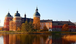Gripsholms slott höst