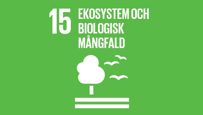 Agenda 2030, mål nummer 15: Ekosystem och biologisk mångfald.