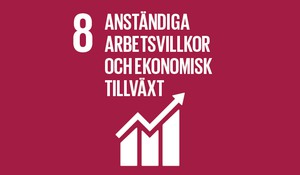 Agenda 2030, mål nummer åtta: Anständiga arbetsvillkor och ekonomisk tillväxt.