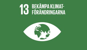 Agenda 2030, mål nummer 13: Bekämpa klimatförändringarna.