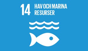 Agenda 2030, mål nummer 14: Hav och marina resurser.