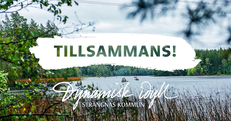 Tillsammans-budskap med Dynamisk Idyll-logotyp mot bakgrund som visar en sjö på sommaren.